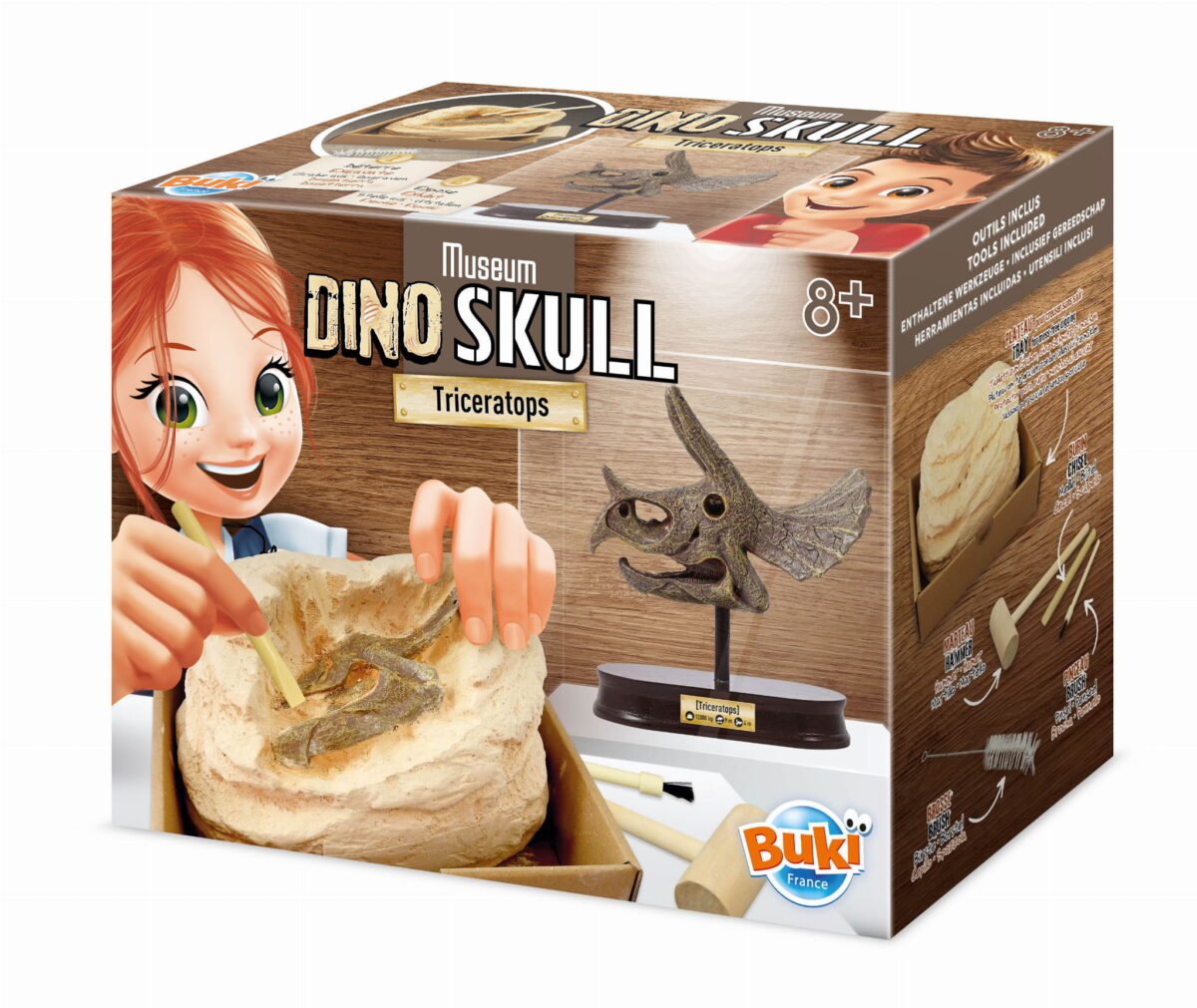 Djeco Muzeum Czaszek Dinozaura - Triceratops 2131 Dla Dzieci